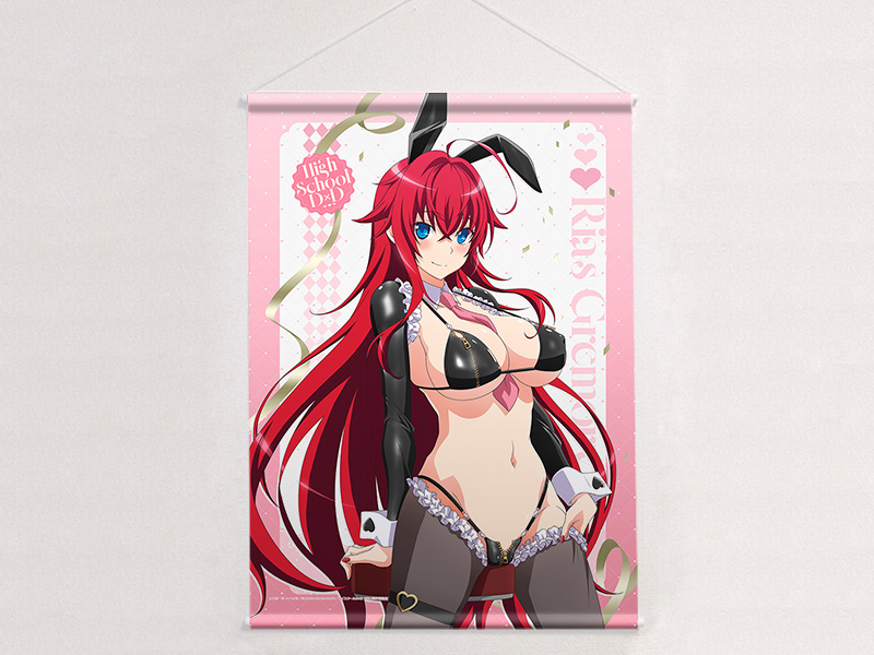 "High School DxD Hero" Original Illustration B2 Tapestry Rias Gremory / Reverse Bunny (Black) W Suede