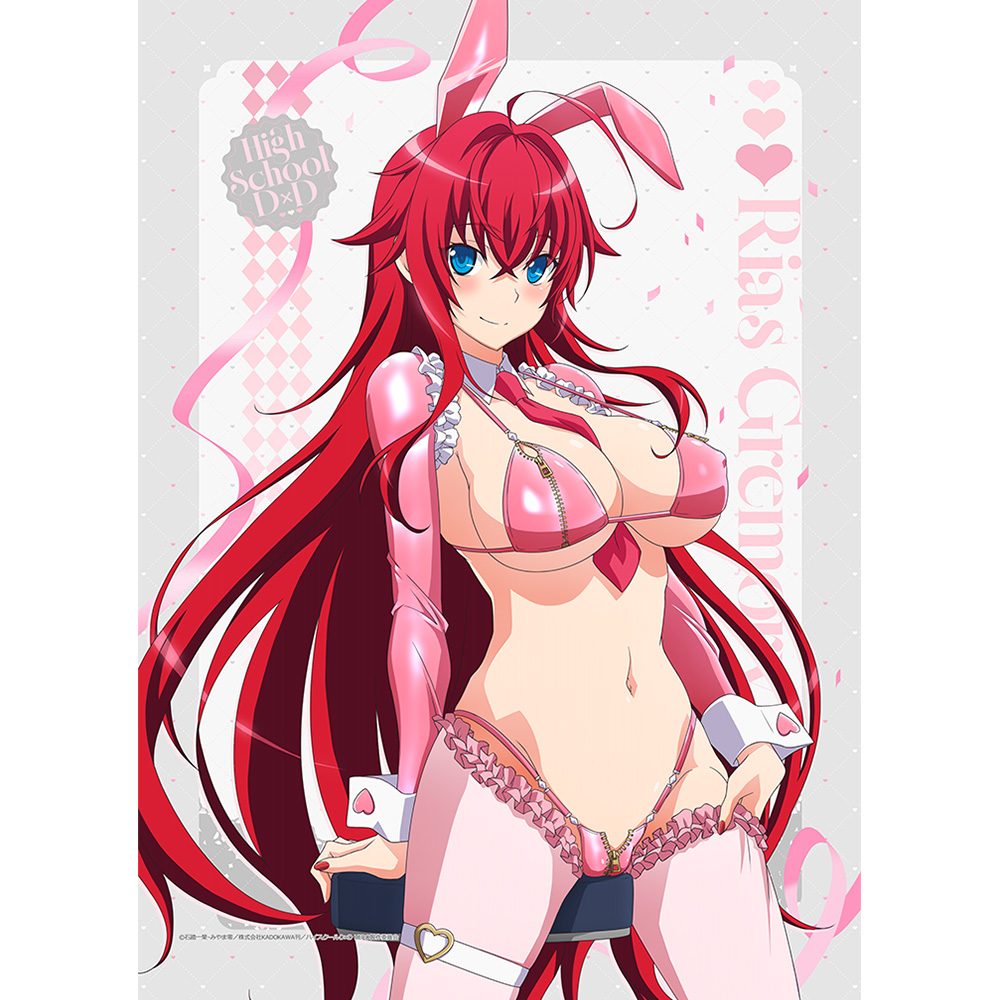 "High School DxD Hero" Original Illustration B2 Tapestry Rias Gremory / Reverse Bunny (Pink) W Suede