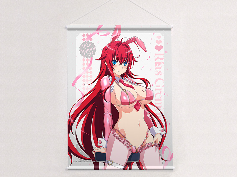 "High School DxD Hero" Original Illustration B2 Tapestry Rias Gremory / Reverse Bunny (Pink) W Suede