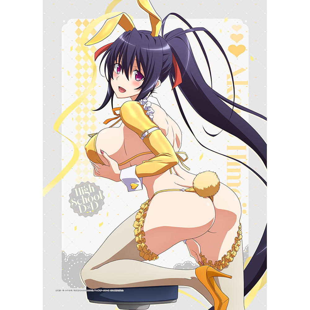 "High School DxD Hero" Original Illustration B2 Tapestry Himejima Akeno / Reverse Bunny (Yellow) W Suede