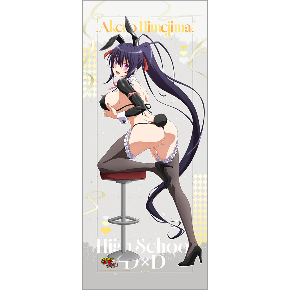"High School DxD Hero" Original Illustration Extra Large Tapestry Himejima Akeno / Reverse Bunny (Black)