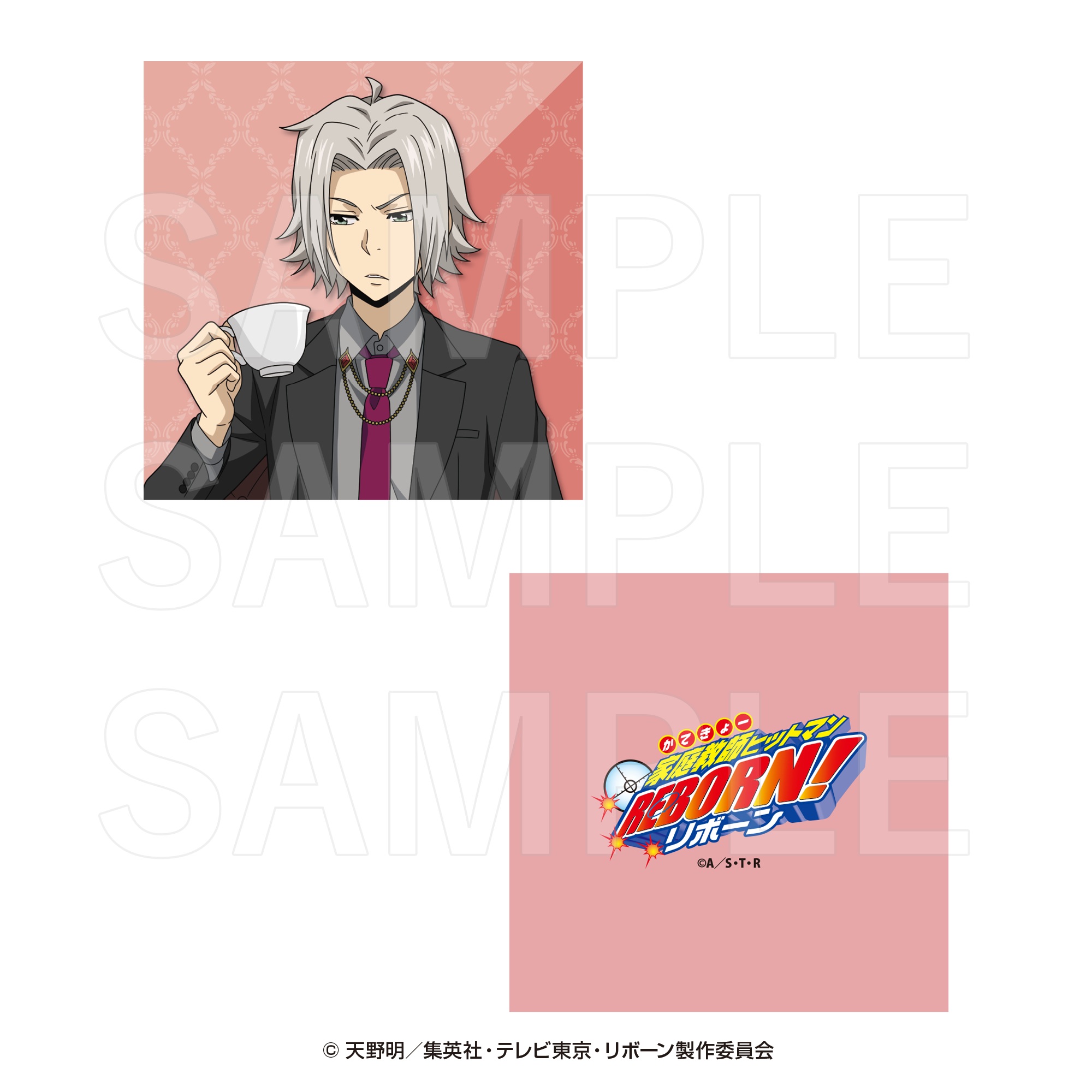 "Reborn!" Die-cut Cushion Gokudera Hayato