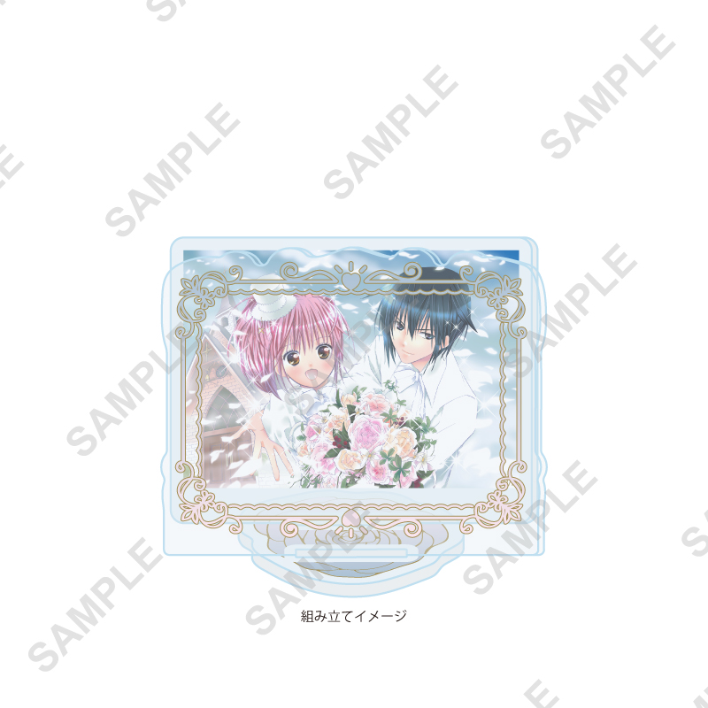 Acrylic Stand Plate "Shugo Chara!" 66 Pattern C (Official Illustration)