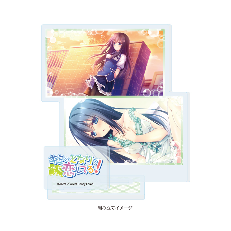 Acrylic Stand Plate ALcot/ALcot Honey Comb Series 04 Kimi no Tonari de Koishiteru! B (Official Illustration)