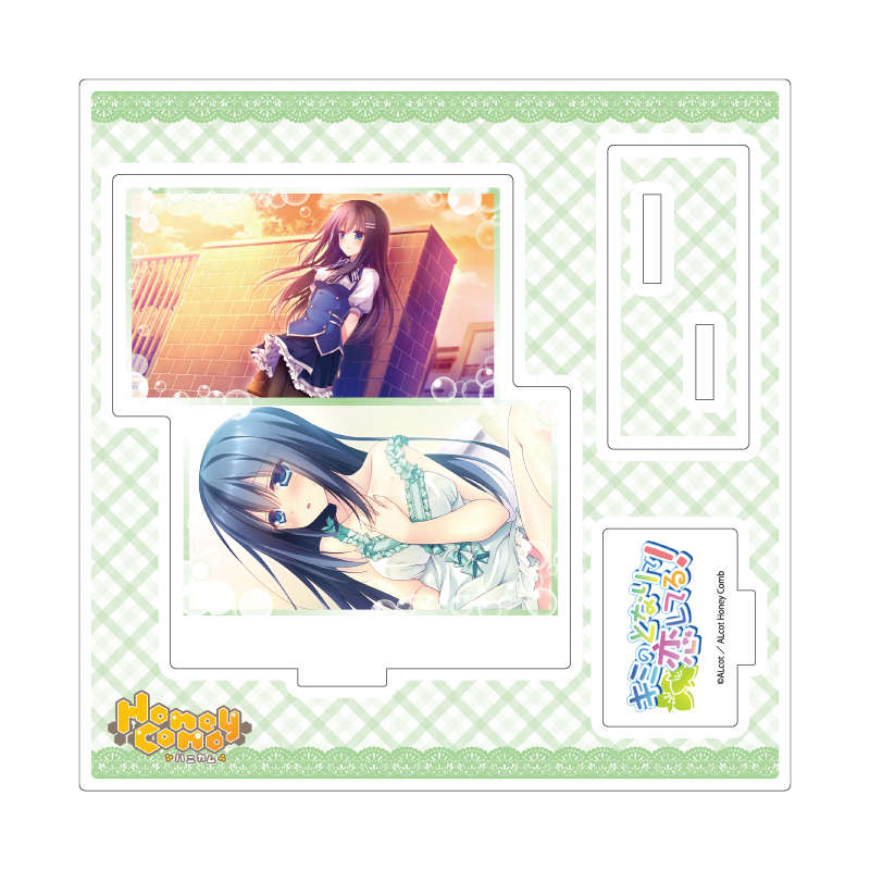 Acrylic Stand Plate ALcot/ALcot Honey Comb Series 04 Kimi no Tonari de Koishiteru! B (Official Illustration)