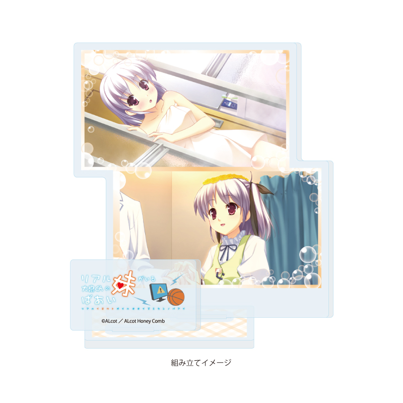 Acrylic Stand Plate ALcot/ALcot Honey Comb Series 08 Real Imouto ga Iru Ooizumi-kun no Baai A (Official Illustration)