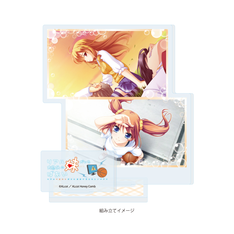 Acrylic Stand Plate ALcot/ALcot Honey Comb Series 09 Real Imouto ga Iru Ooizumi-kun no Baai B (Official Illustration)