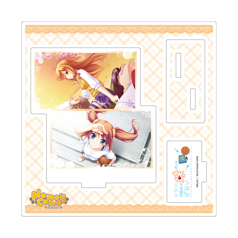 Acrylic Stand Plate ALcot/ALcot Honey Comb Series 09 Real Imouto ga Iru Ooizumi-kun no Baai B (Official Illustration)