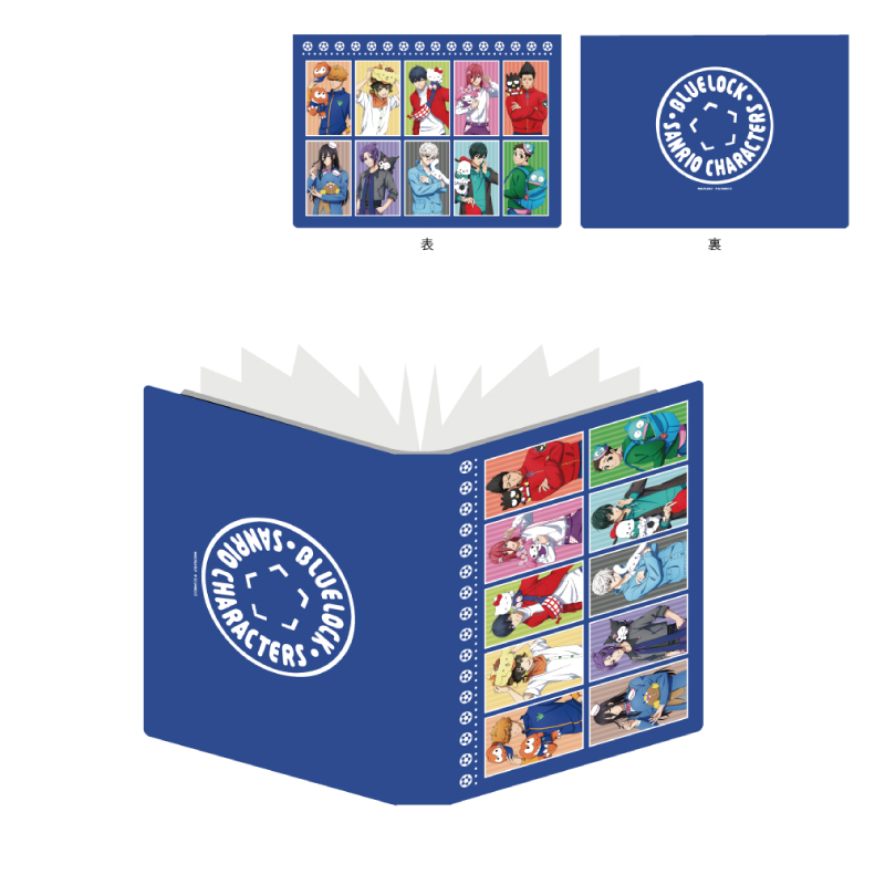 Premium Postcard Holder 