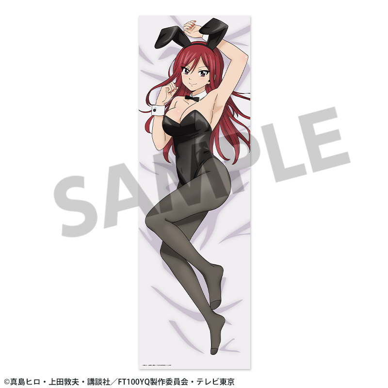 "Fairy Tail 100 Years Quest" Original Illustration Dakimakura Cover Erza Scarlet
