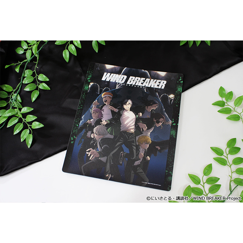 "Wind Breaker" Mouse Pad