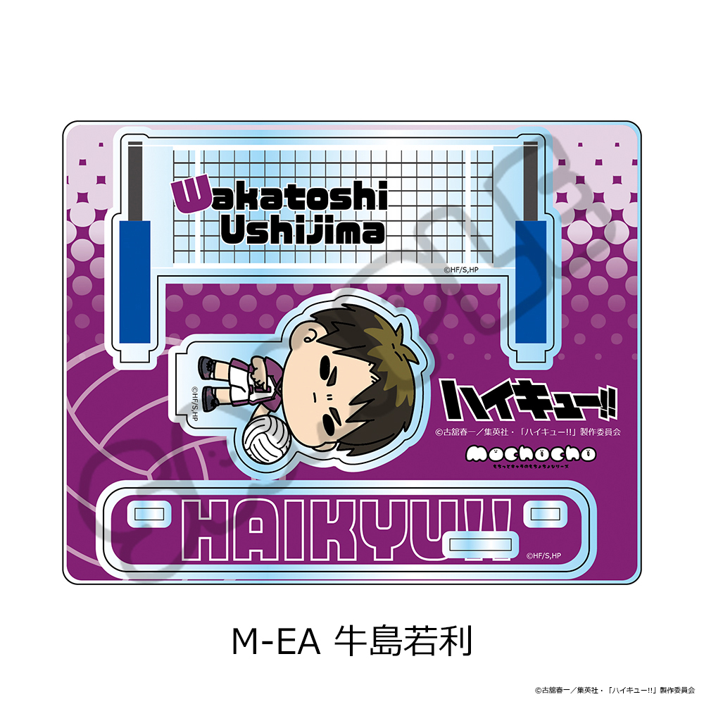 "Haikyu!!" Vol. 11 Acrylic Stand (mochocho) M-EA Ushijima Wakatoshi