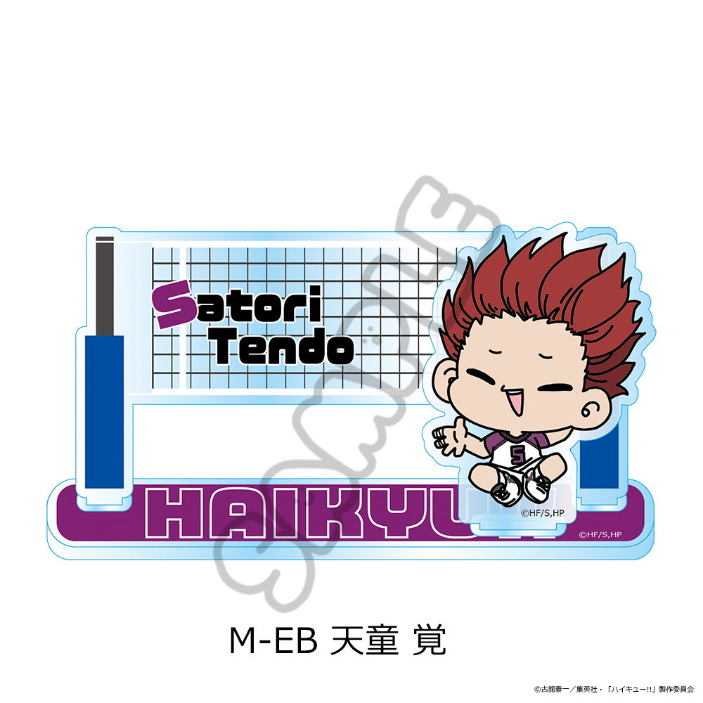 "Haikyu!!" Vol. 11 Acrylic Stand (mochocho) M-EB Tendo Satori