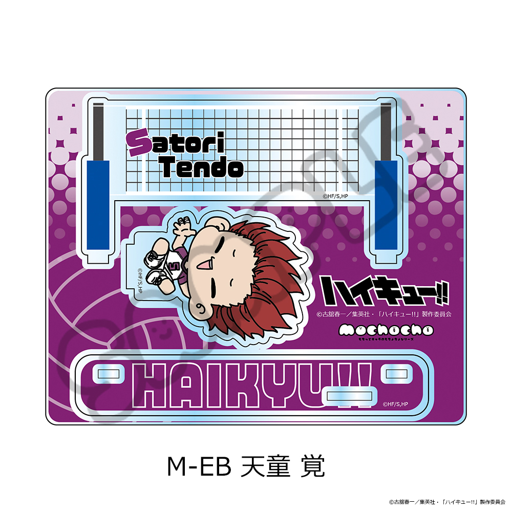 "Haikyu!!" Vol. 11 Acrylic Stand (mochocho) M-EB Tendo Satori