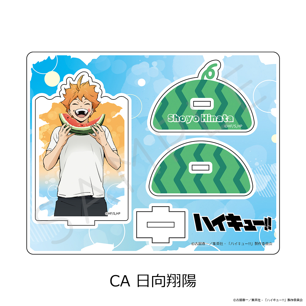 "Haikyu!!" Vol. 13 Acrylic Stand CA Hinata Shoyo