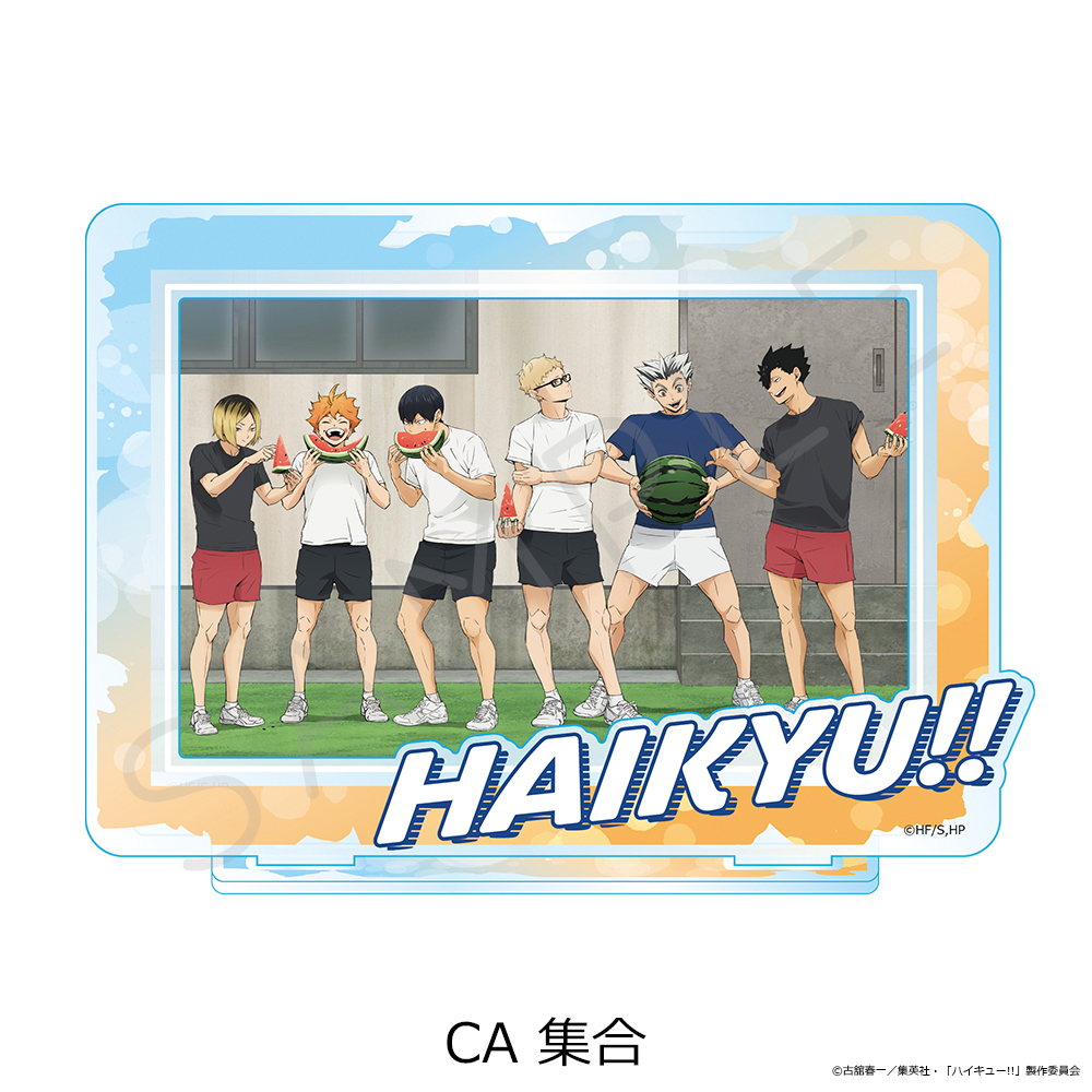 "Haikyu!!" Vol. 13 Big Acrylic Stand CA Group