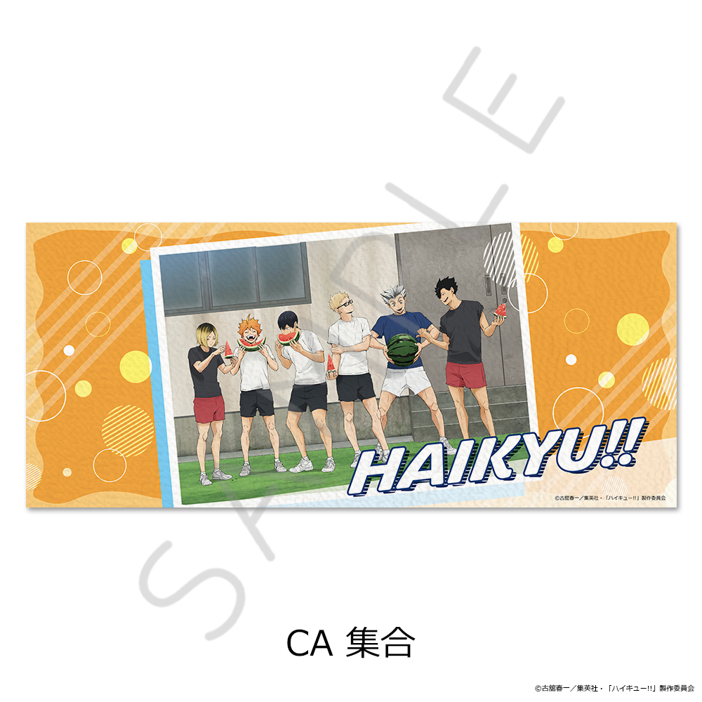 "Haikyu!!" Vol. 13 Face Towel CA Group