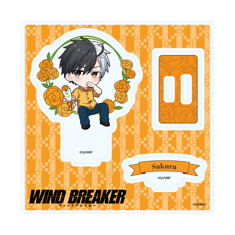 Acrylic Stand Plate "Wind Breaker" 08 Sakura Haruka Carnation Ver. (Mini Character Illustration)