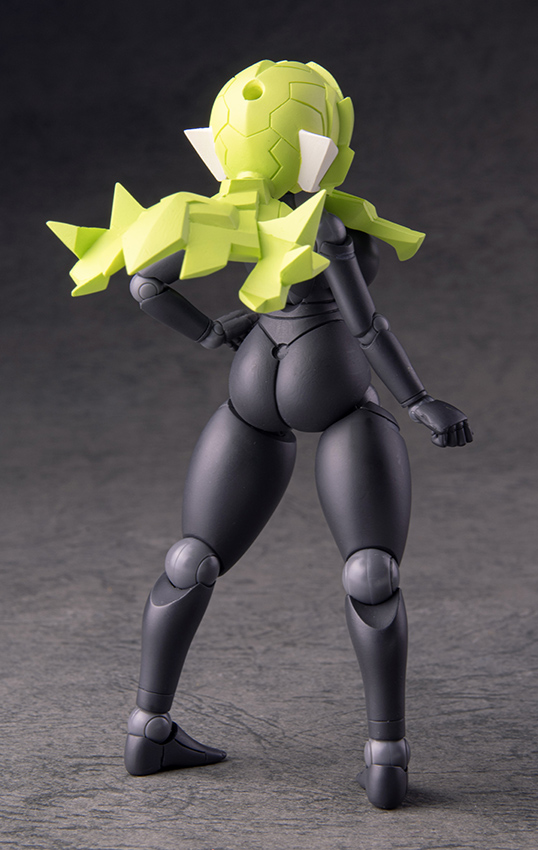 Polynian FLL Kelly / Rnia (Black fresh)