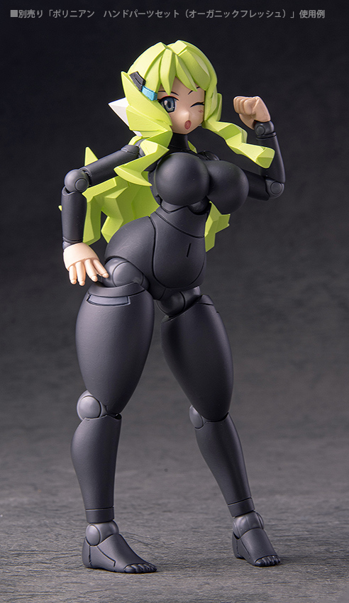 Polynian FLL Kelly / Rnia (Black fresh)