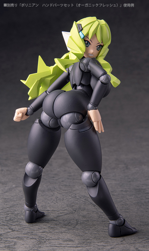 Polynian FLL Kelly / Rnia (Black fresh)