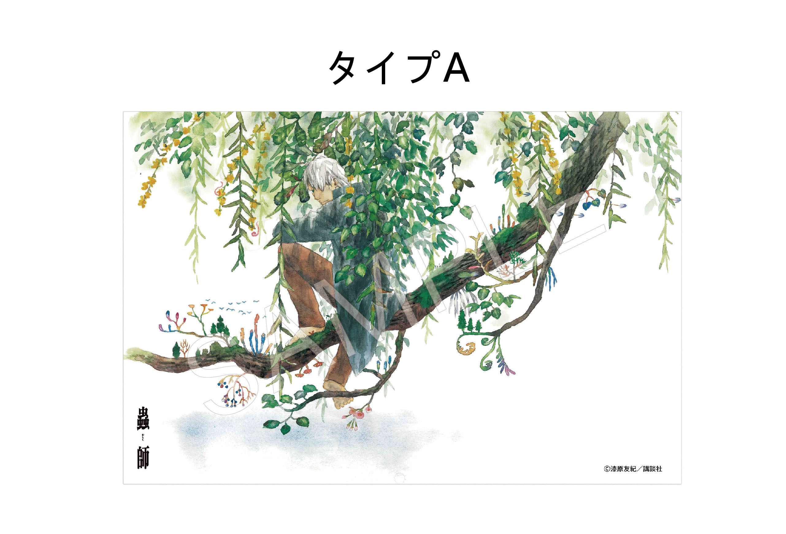 AFORCE x DRAGON HORSE "MUSHISHI" ART PANEL A