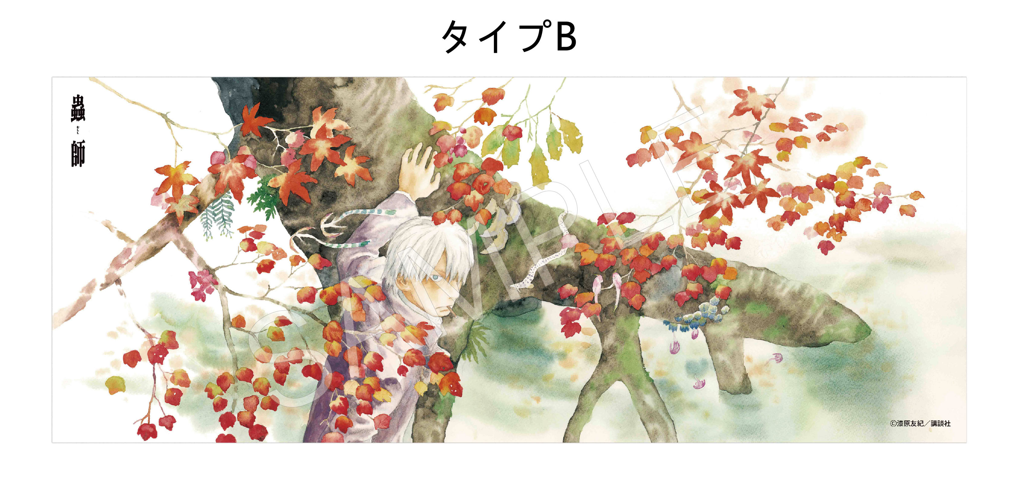 AFORCE x DRAGON HORSE "MUSHISHI" ART PANEL B
