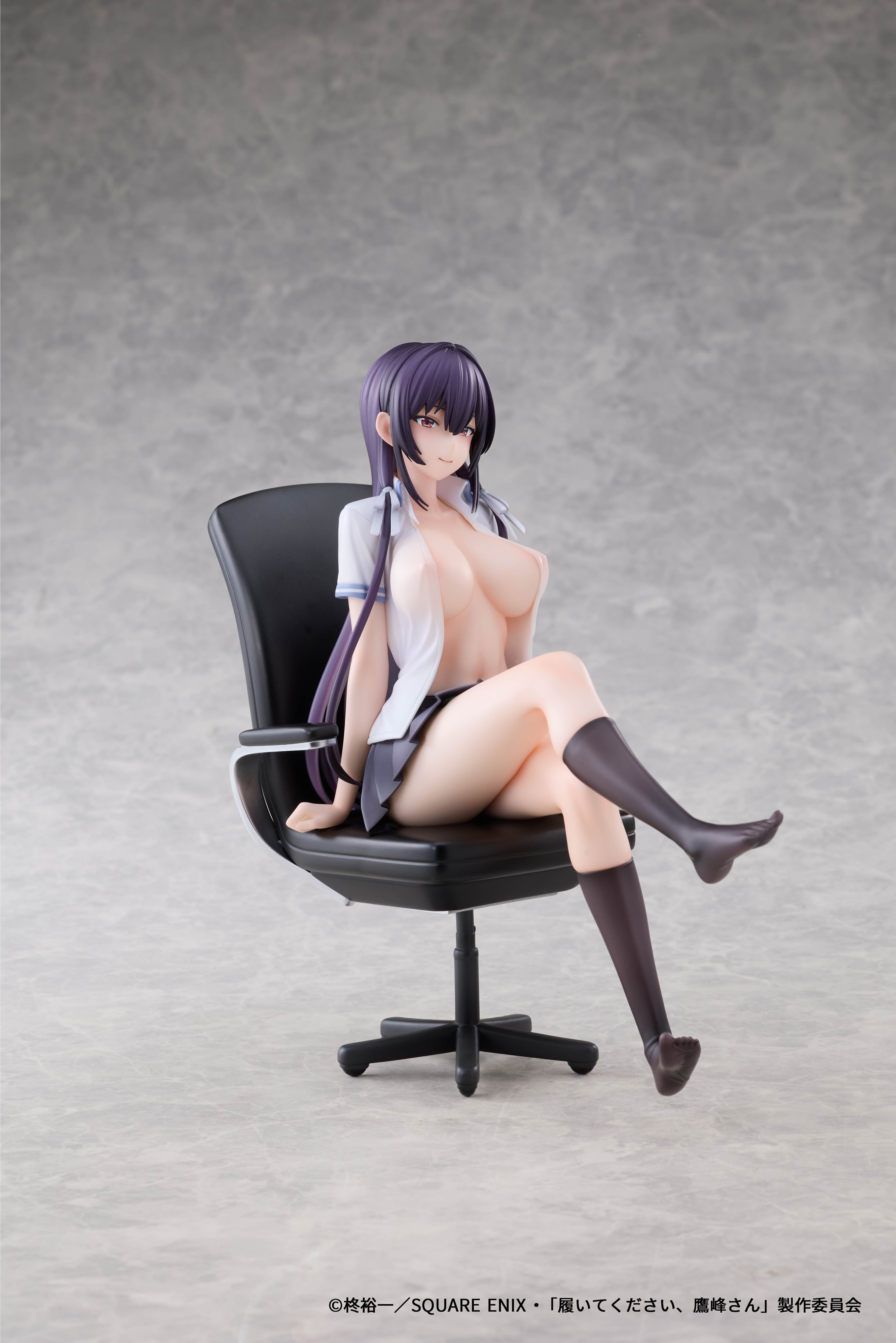 AFORCE x DRAGON HORSE "PLEASE PUT THEM ON, TAKAMINE-SAN" TAKANE TAKAMINE 1/6 SCALE FIGURE