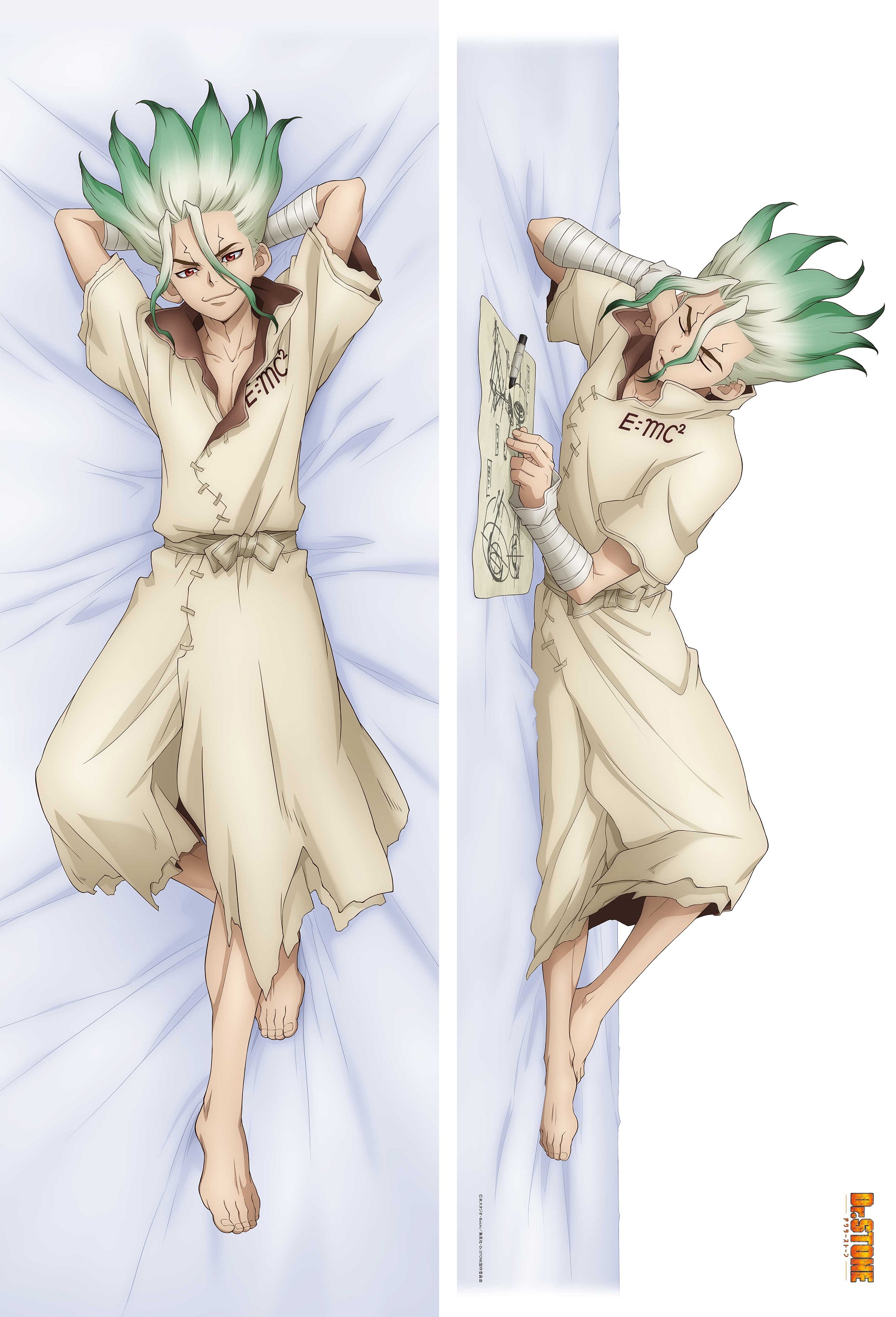 "Dr. Stone" Original Illustration Premium Dakimakura Cover Ishigami Senku