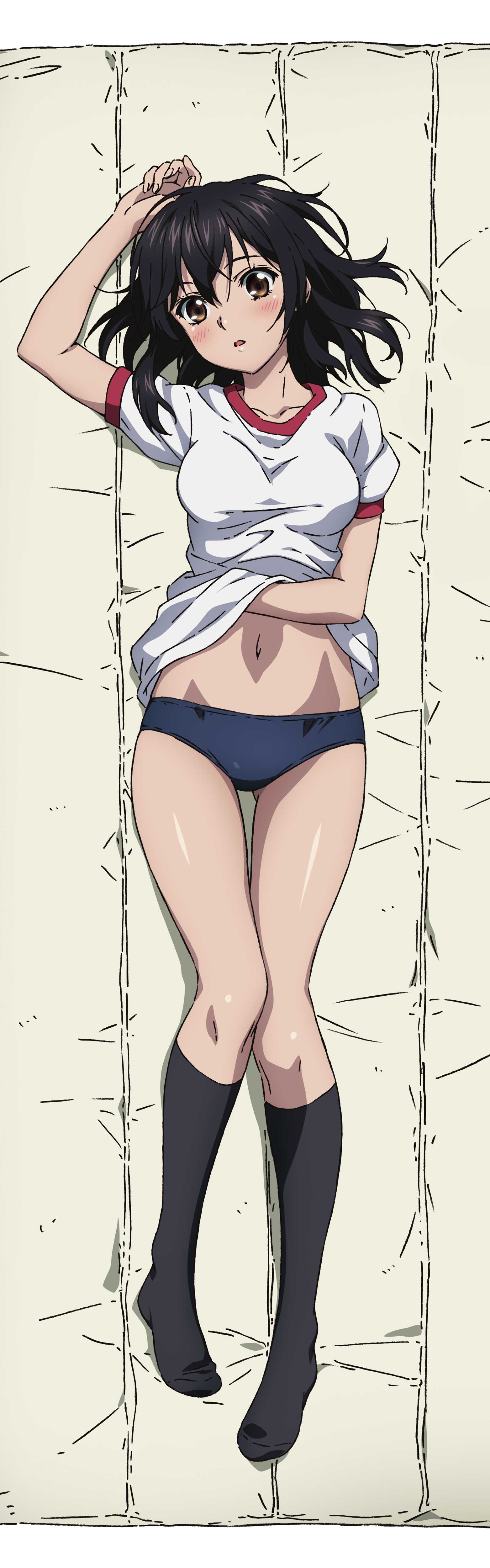 "Strike the Blood" Original Illustration Premium Dakimakura Cover Yukina & Nagisa (Gym Uniform)