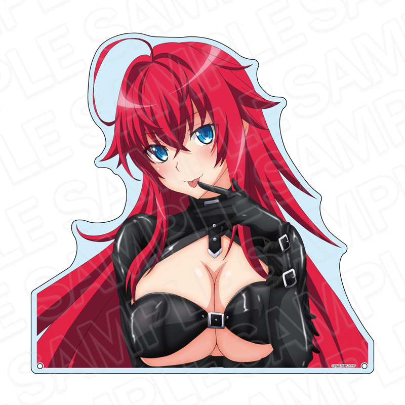 "High School DxD Hero" Extra Large Die-cut Acrylic Board Rias Gremory Bondage Ver.