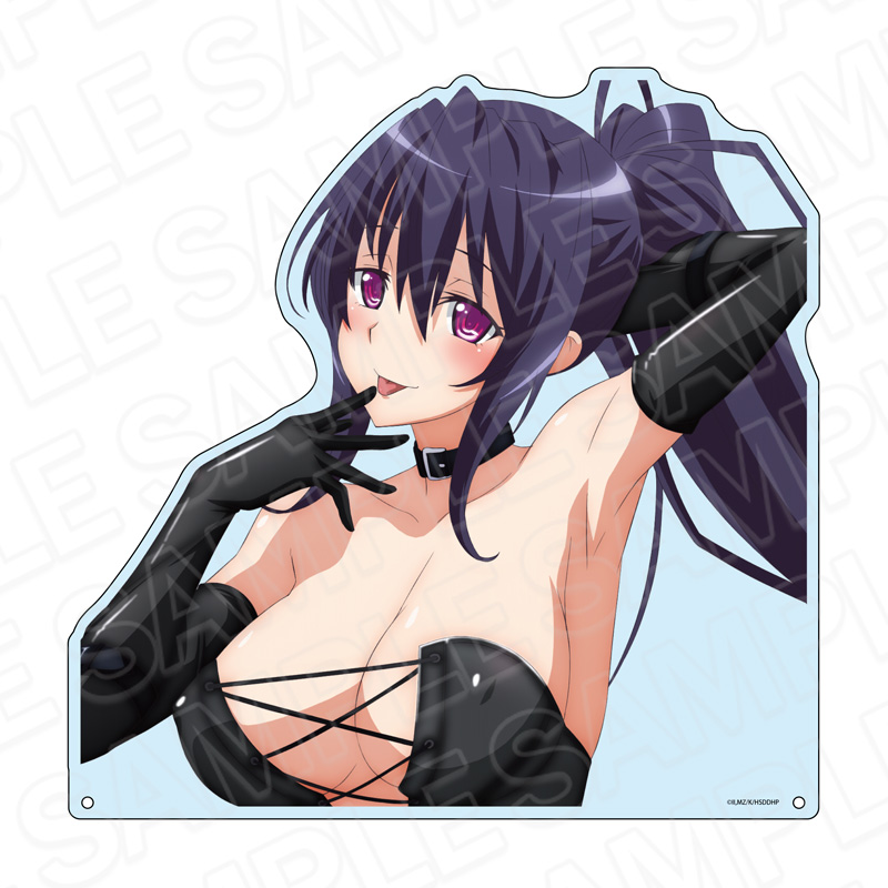 "High School DxD Hero" Extra Large Die-cut Acrylic Board Himejima Akeno Bondage Ver.