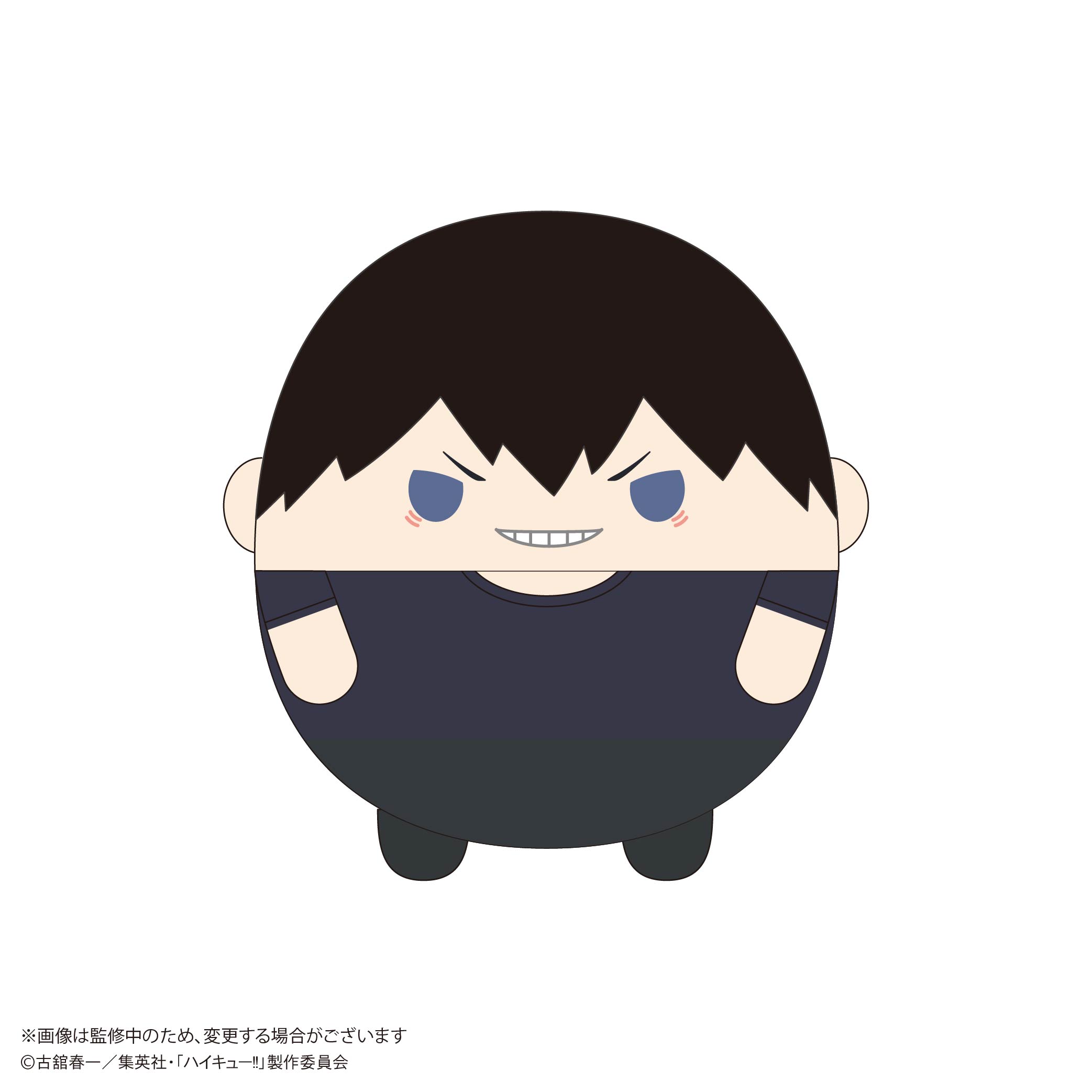 HQ-80 "Haikyu!!" Fuwakororin Big 10 A Kageyama Tobio