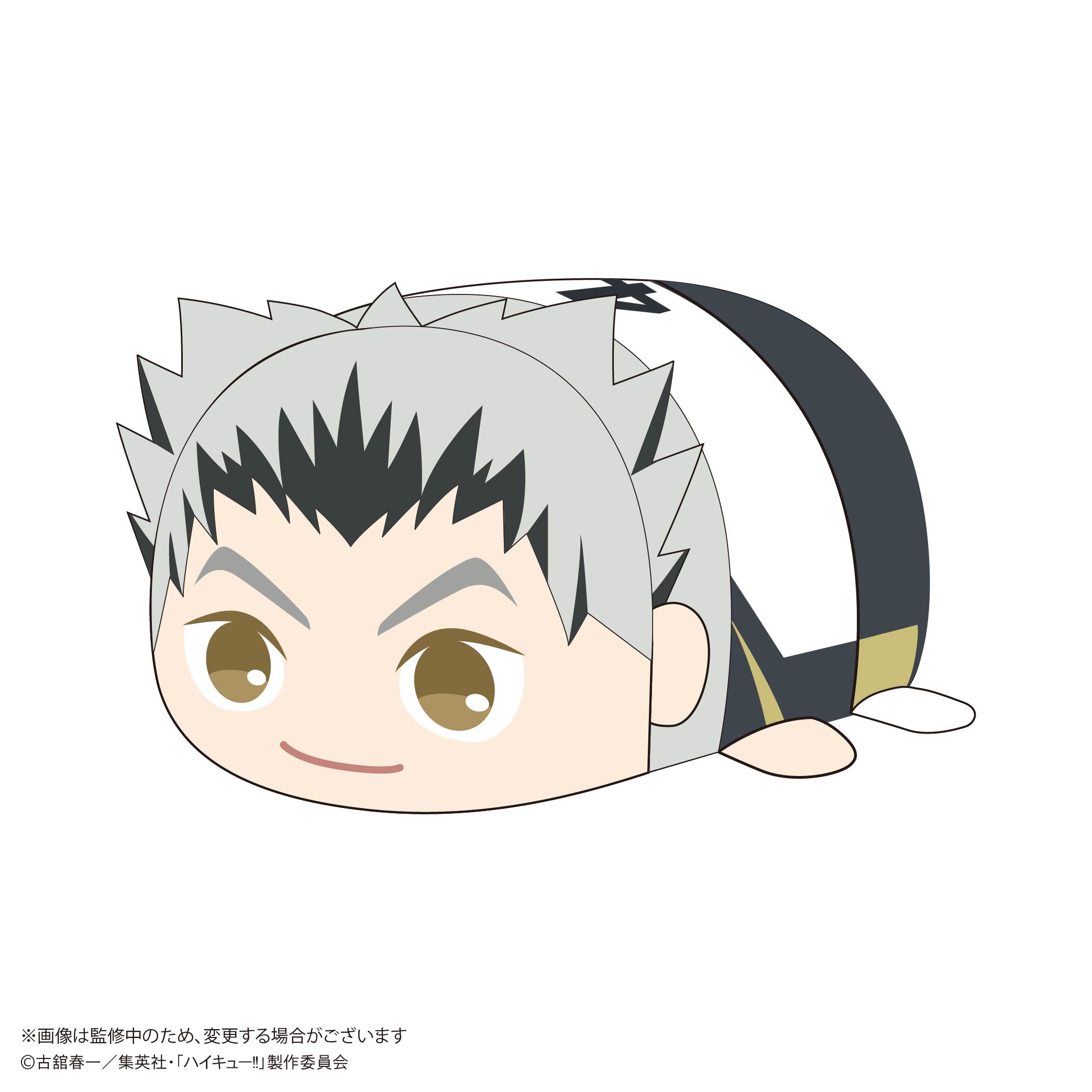 HQ-81 "Haikyu!!" Potekoro Mascot (M Size) 2 E Bokuto Kotaro