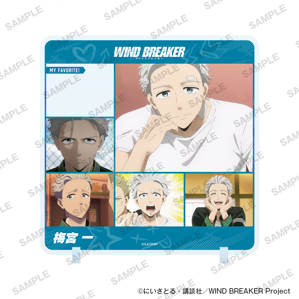 "Wind Breaker" Character in Stand Vol. 2 Umemiya Hajime