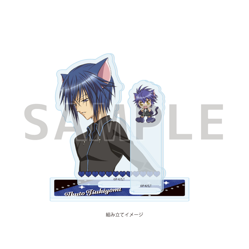 Acrylic Stand Plate "Shugo Chara!" 10 Tsukiyomi Ikuto & Yoru (Official Illustration)