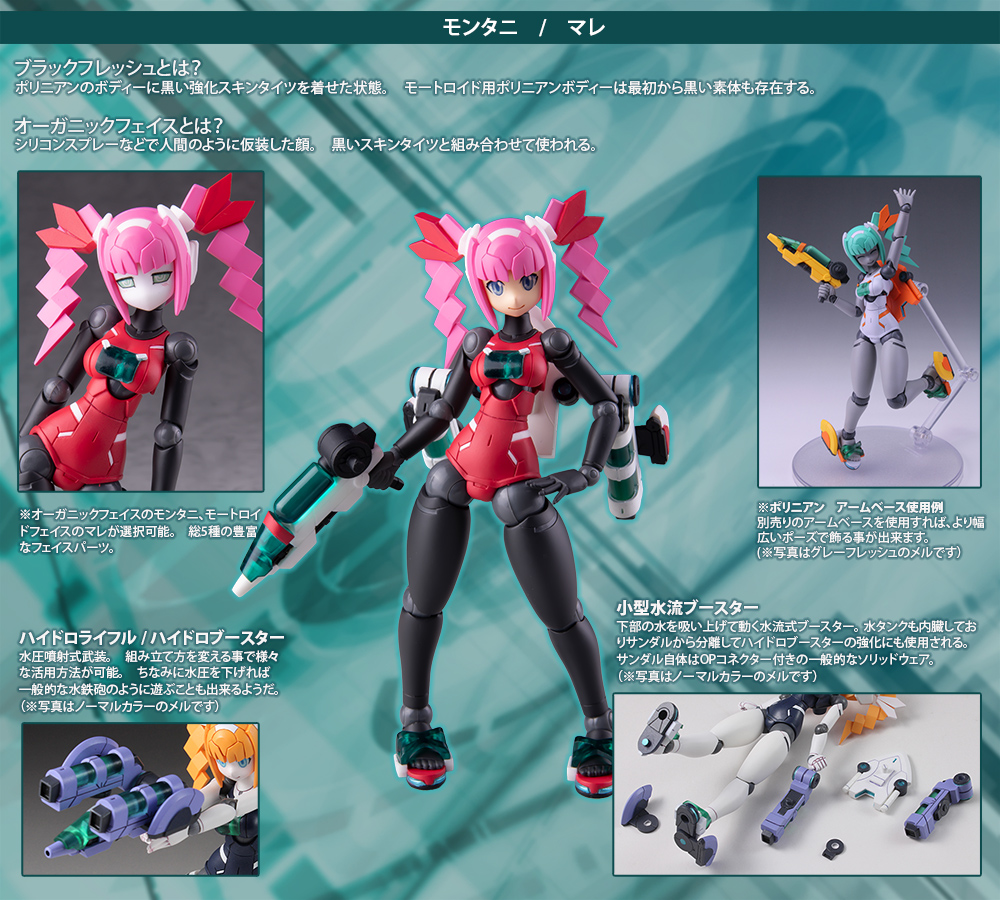 Polynian Montagne / Motoroid Mare