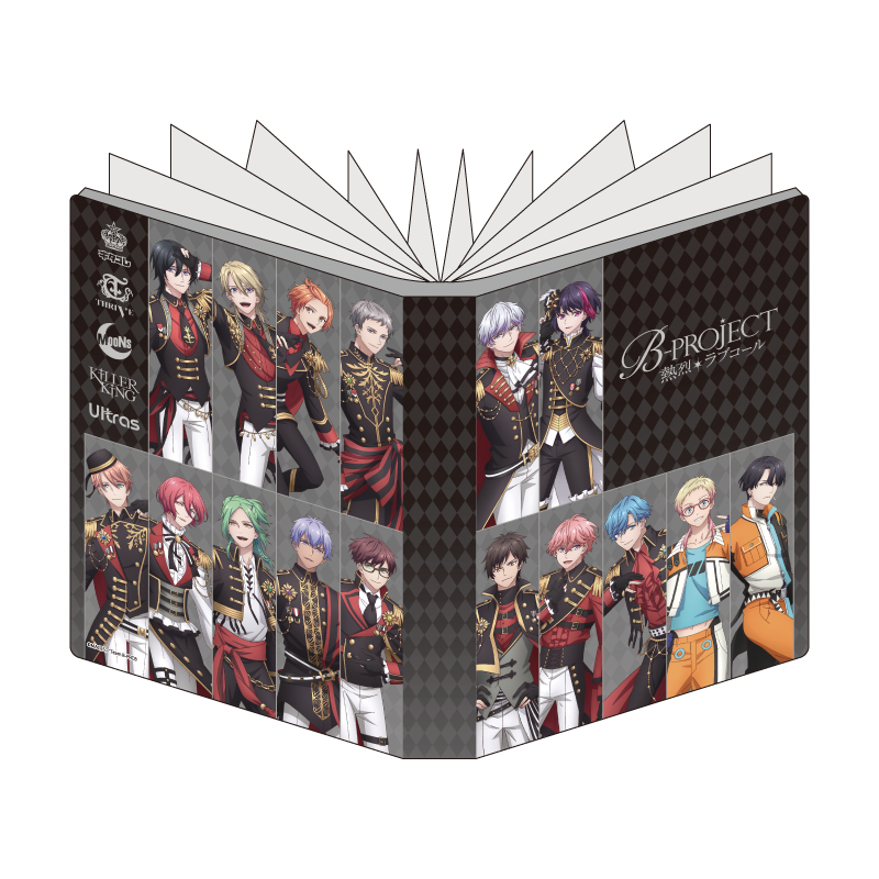 Premium Postcard Holder 