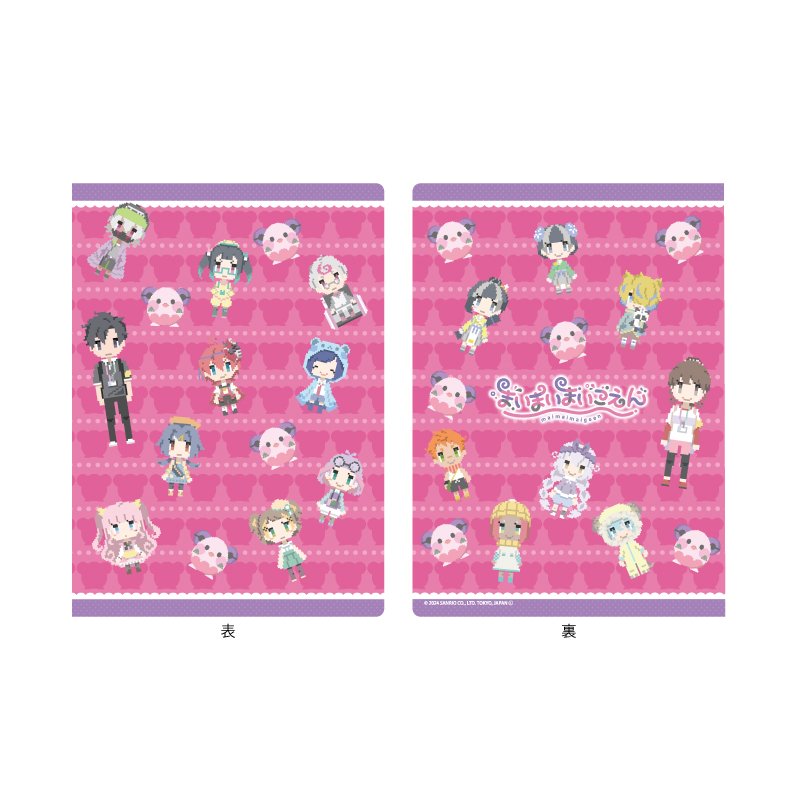 Premium Postcard Holder 