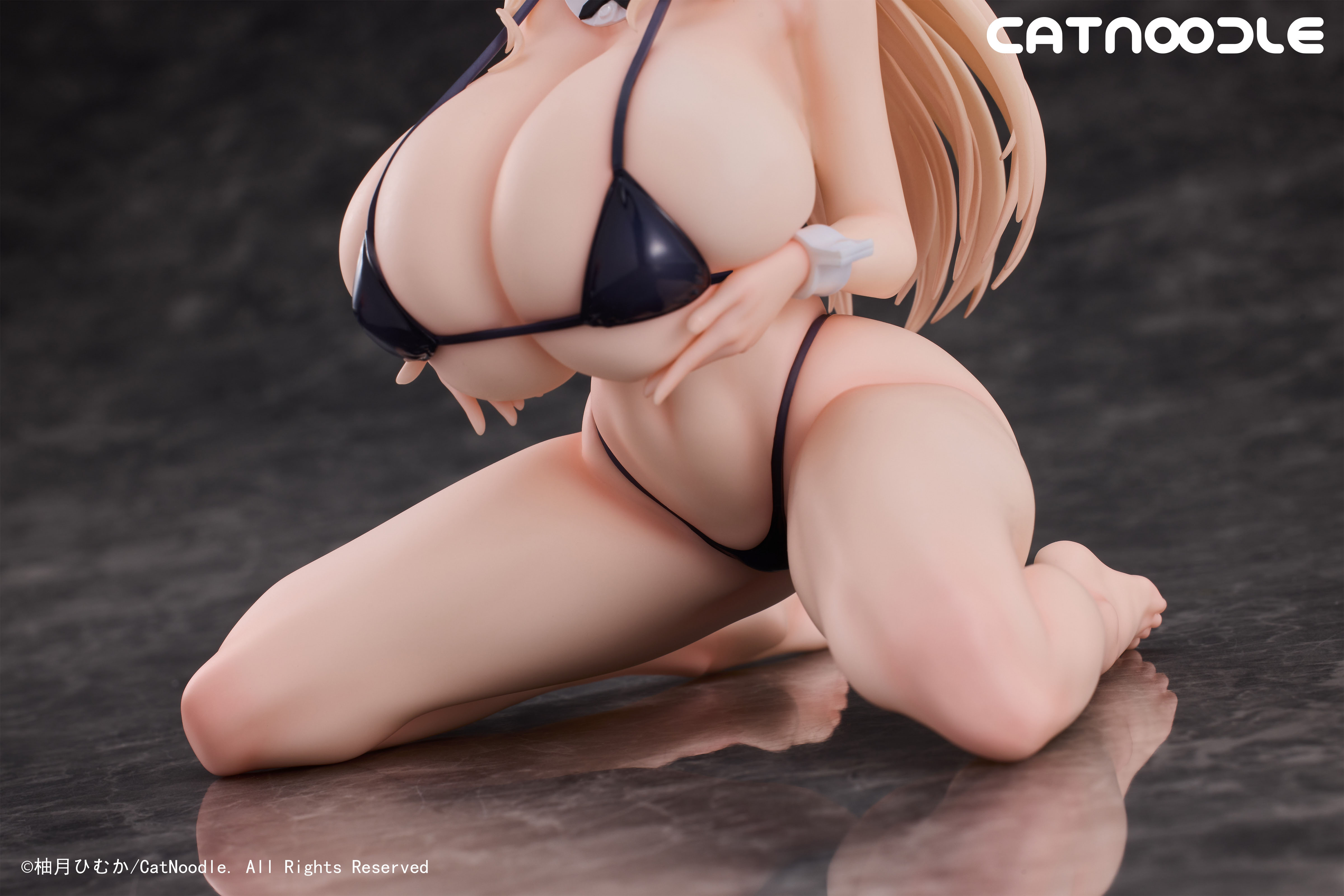 CATNOODLE OBEDIENT MAID IN BIKINI 1/6 SCALE FIGURE
