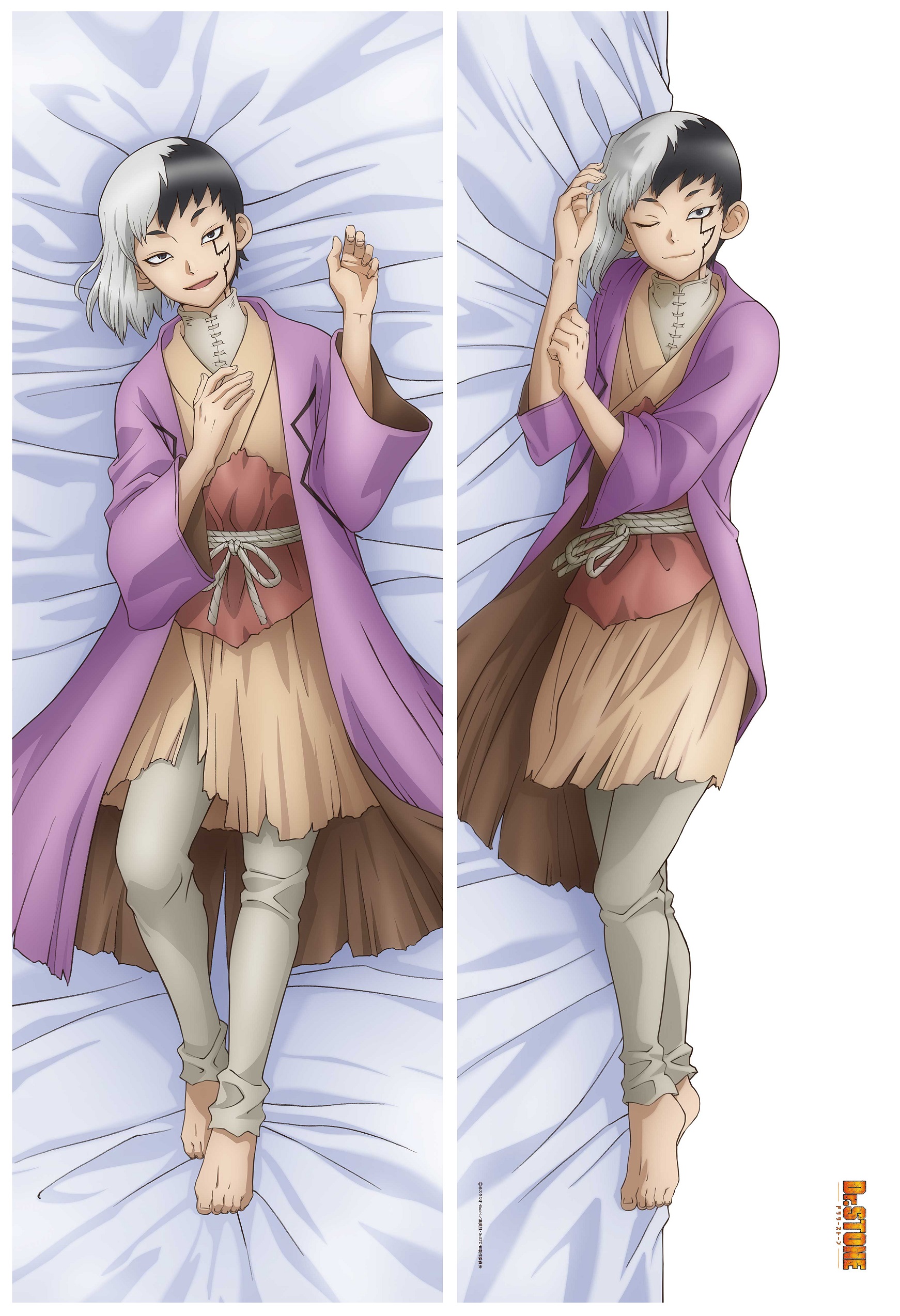 "Dr. Stone" Original Illustration Premium Dakimakura Cover Asagiri Gen