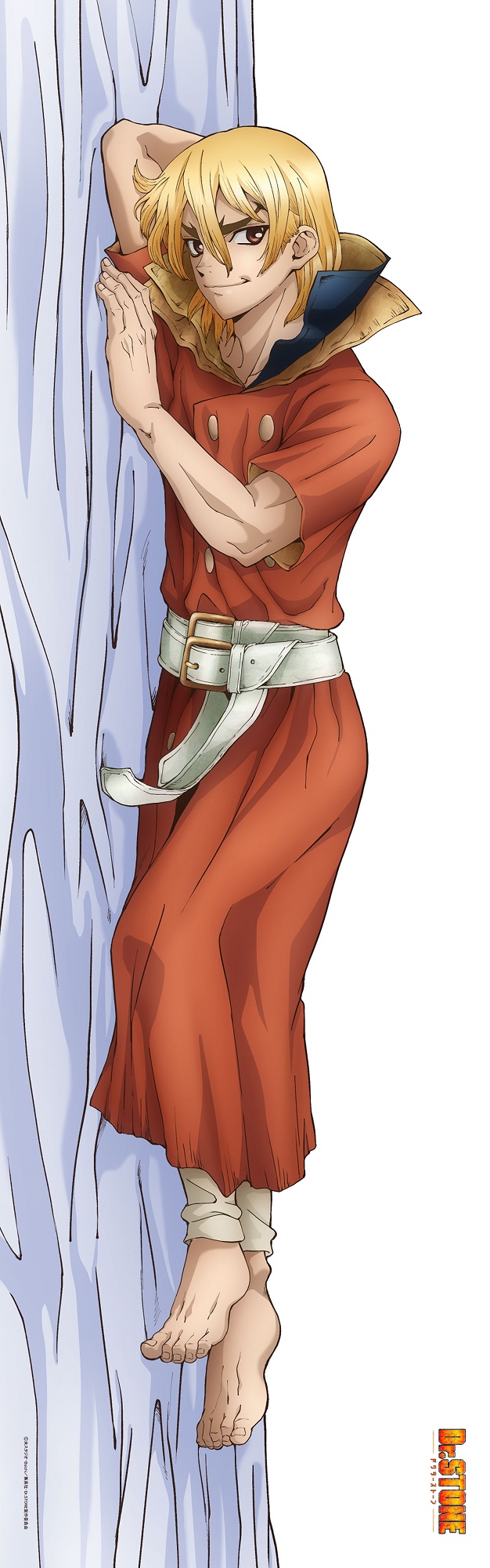 "Dr. Stone" Original Illustration Premium Dakimakura Cover Nanami Ryusui