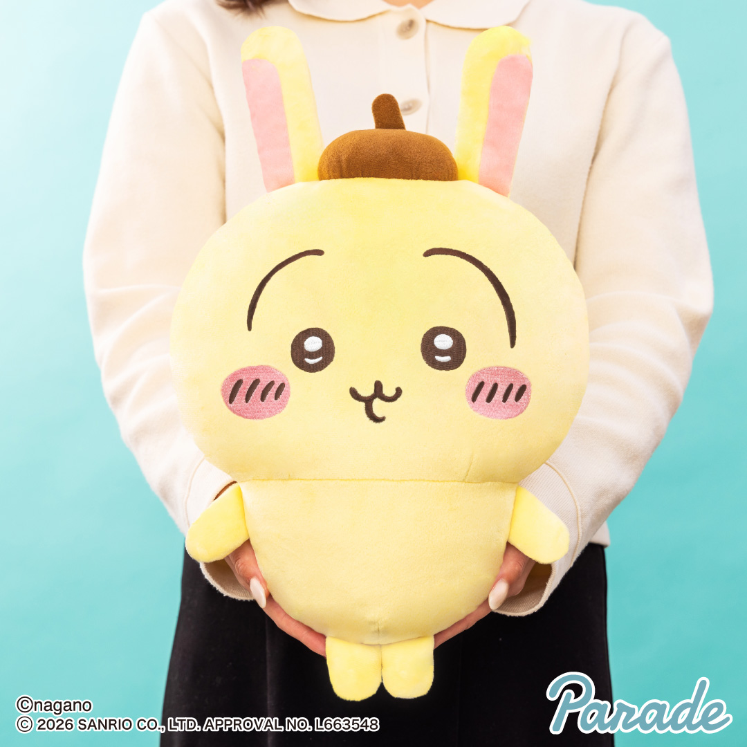 [Pre-order] "Chiikawa" Chiikawa x Sanrio Characters Big Plush Toy Vol.2