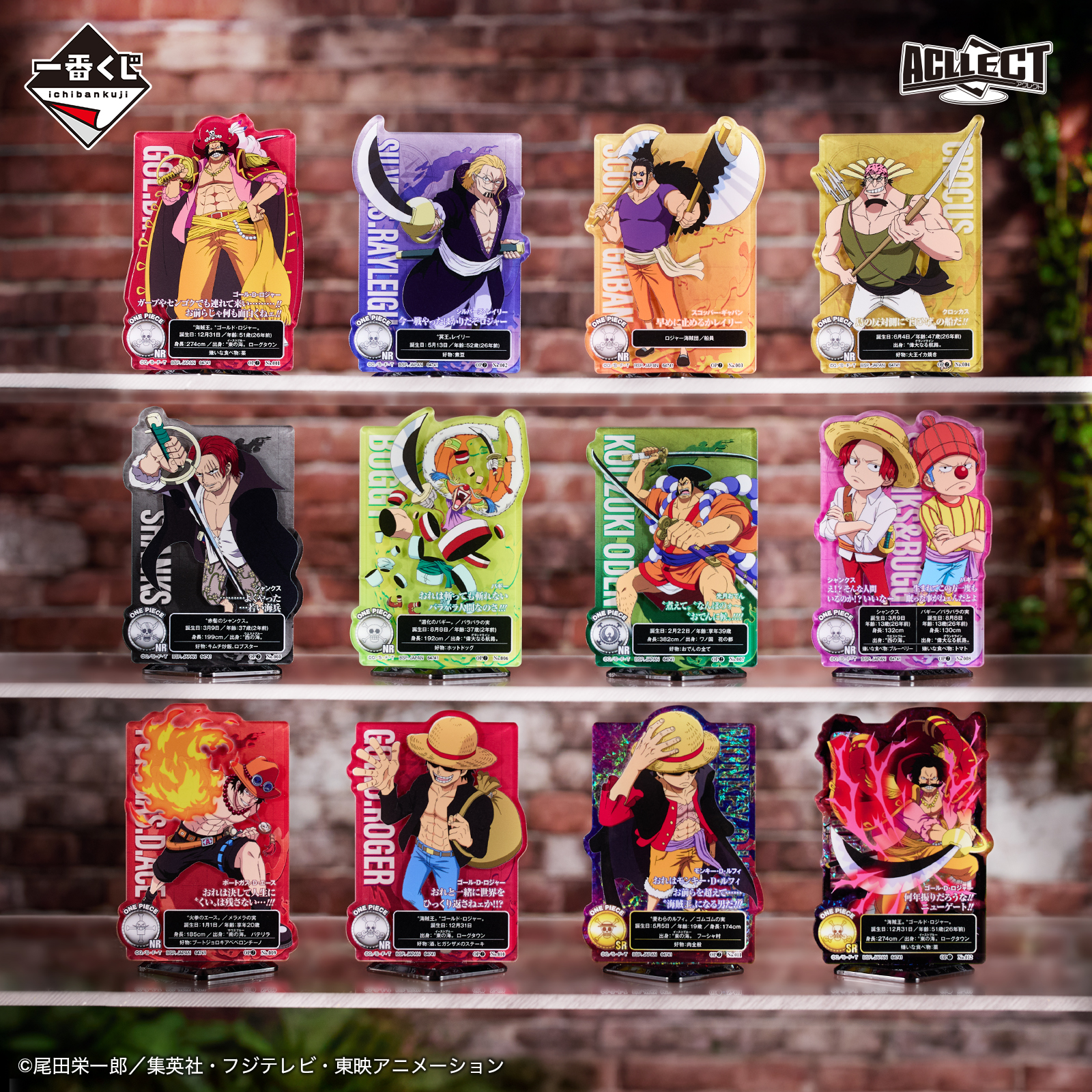 [Pre-order] BANDAI Ichiban Kuji One Piece Roger Pirates ~Legendary Pirates~ (choose your preference)