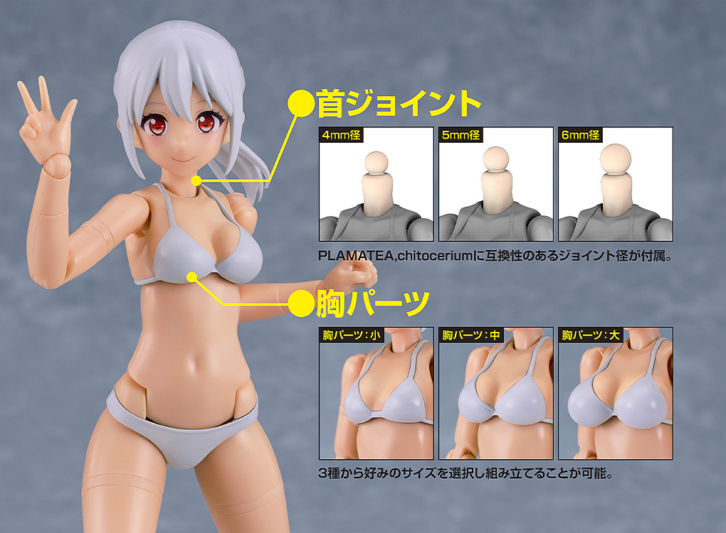 PLAMATEA Muse Body: Ichika Bikini Ver. C Type
