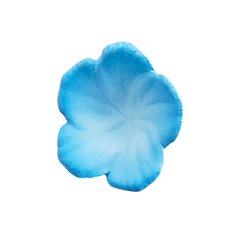 Kadokawa Collection Isekaijoucho Universal Body Nemophila