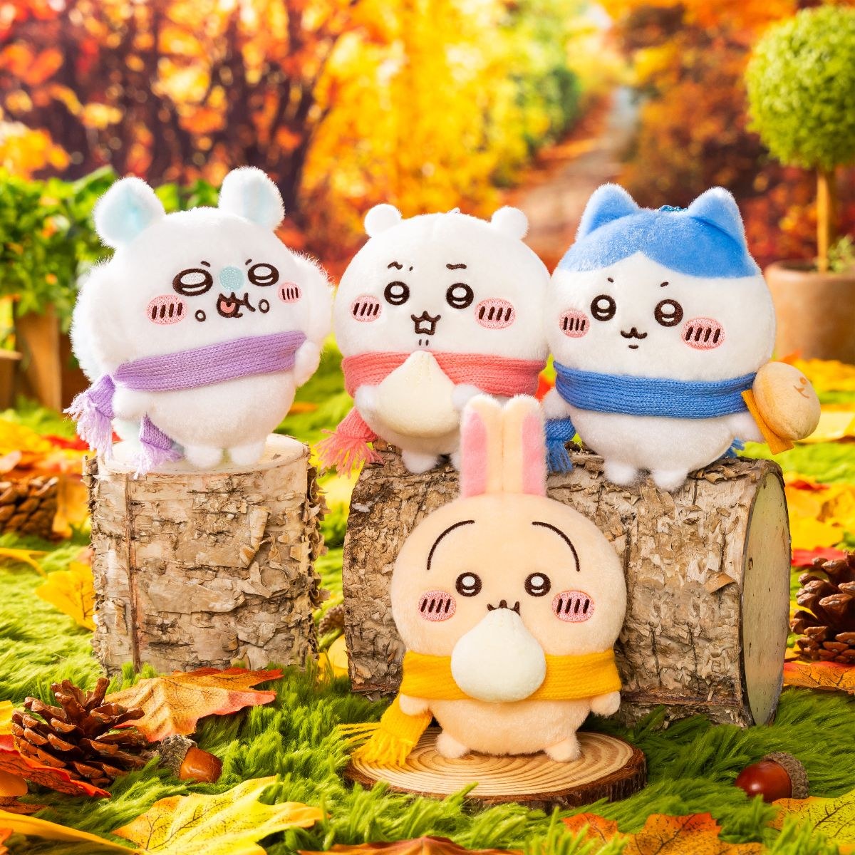 Chiikawa Eating Meat Bun mascots Chiikawa Hachiware Usagi and Momonga with scarves on autumn tree stumps