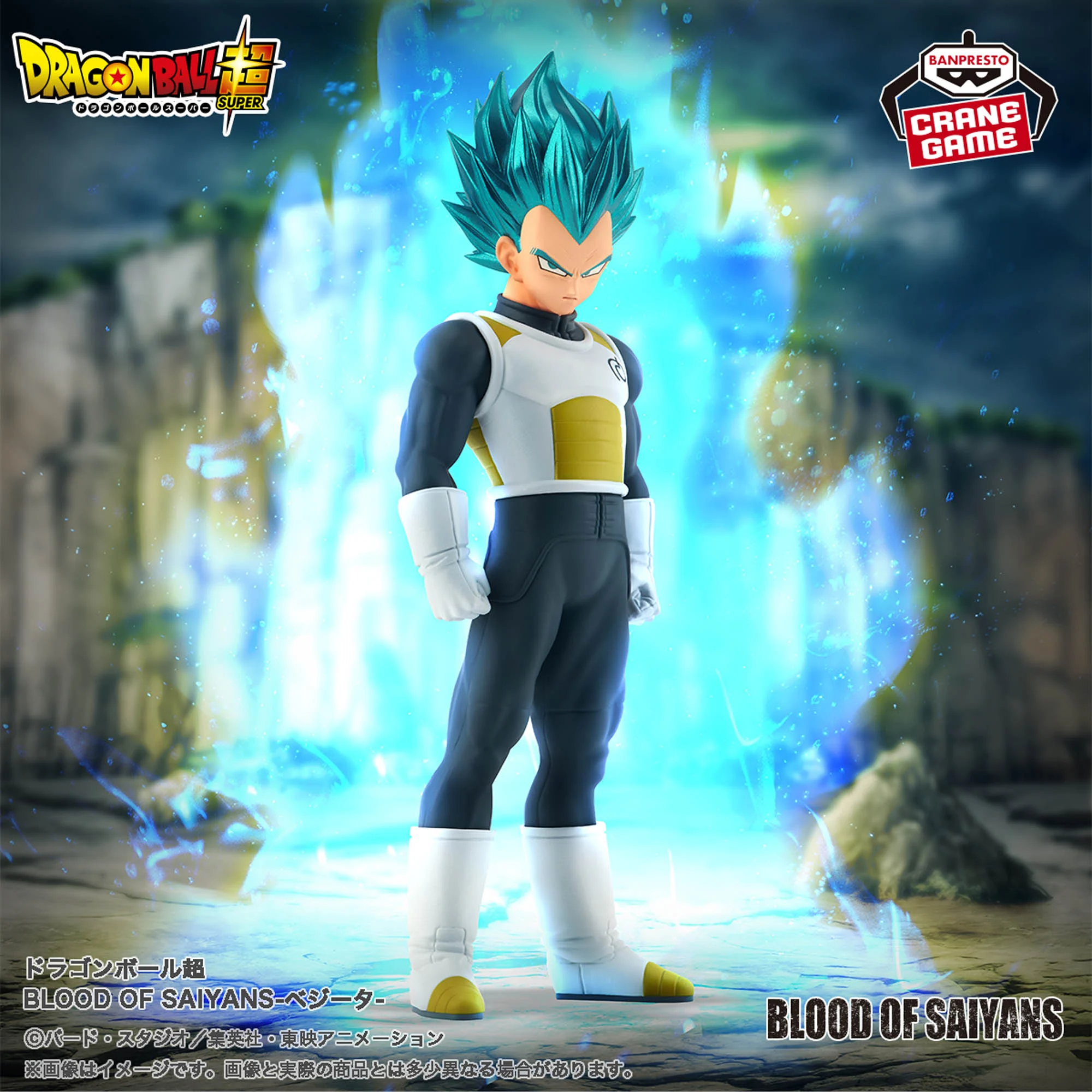[Pre-order] Banpresto "Dragon Ball Super" Blood of Saiyans - Vegeta