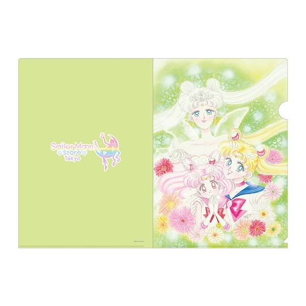 [Pre-order] "Pretty Guardian Sailor Moon" Store original clear file set of 2 A