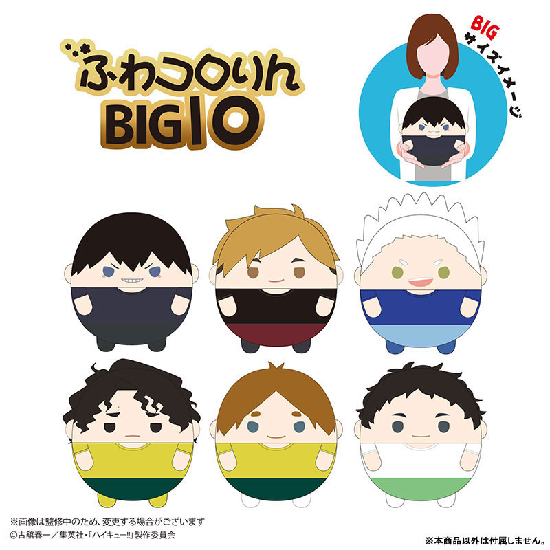 [Pre-order] HQ-80 "Haikyu!!" Fuwakororin Plush Big 10 C Hoshiumi Korai